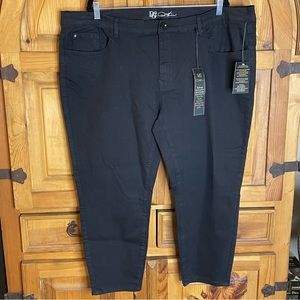 NWT - Diane Gilman - DG2 Black Denim Jeans - Size 24PW